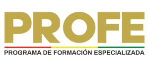 Inicio PROFE